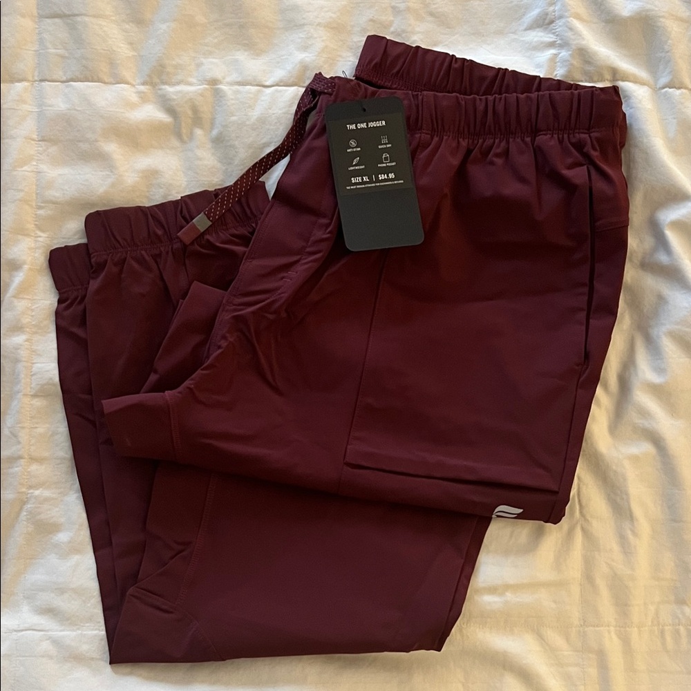 Fabletics Men's Maroon Joggers